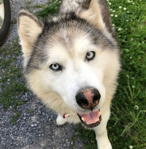 Meet your Posher, Deana